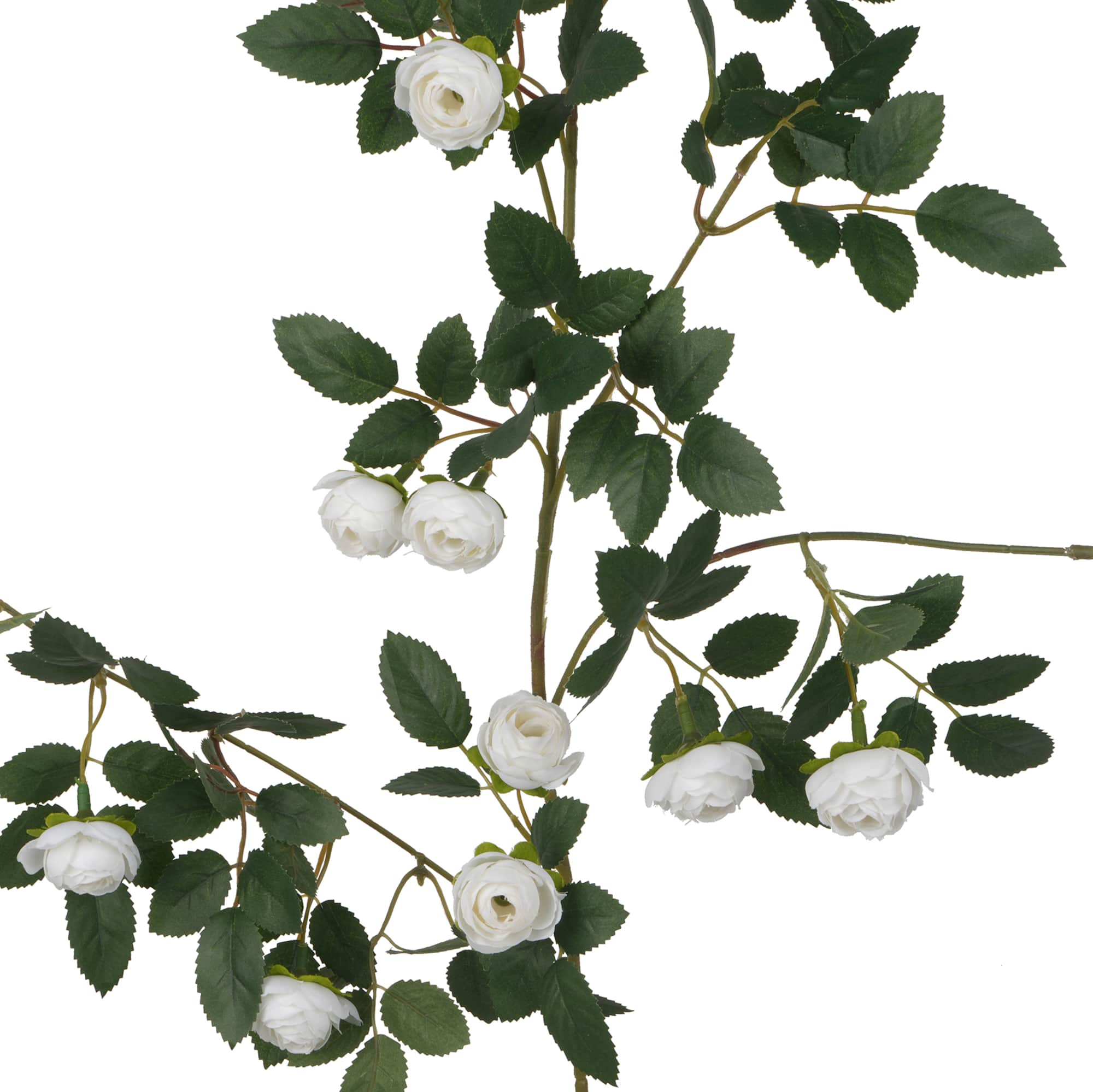 6ft. White Ranunculus Garland by Ashland®